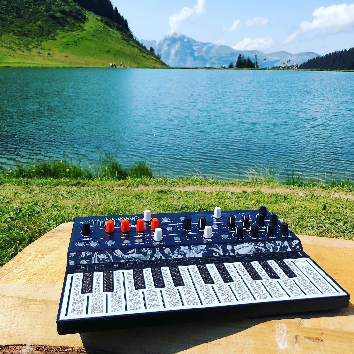 Arturia MicroFreak un format pratique &agrave; transporter.